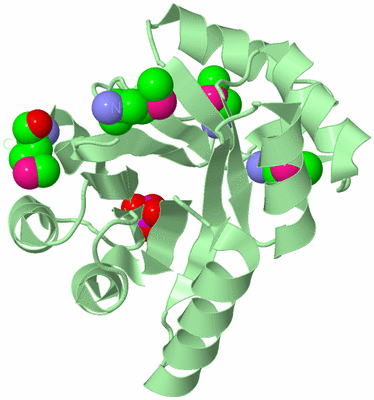 Image Biological Unit 2