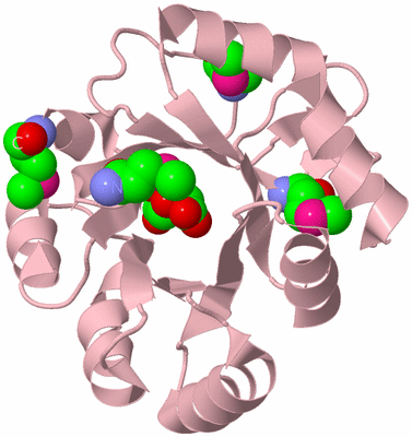 Image Biological Unit 3
