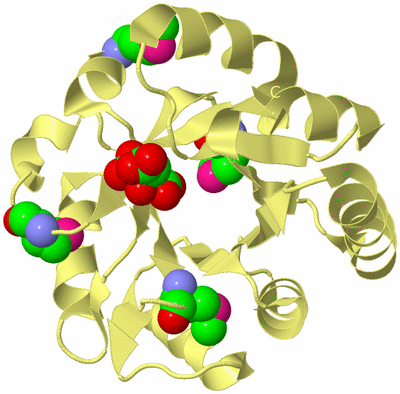 Image Biological Unit 4