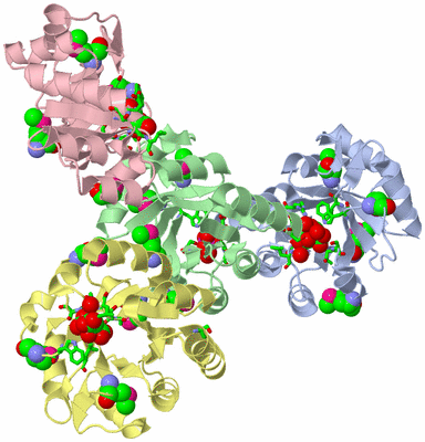Image Asym. Unit - sites