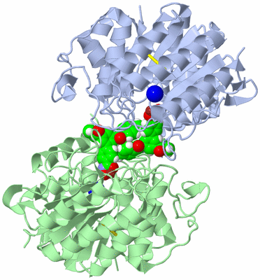 Image Asym./Biol. Unit