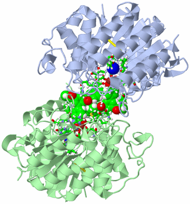 Image Asym./Biol. Unit - sites