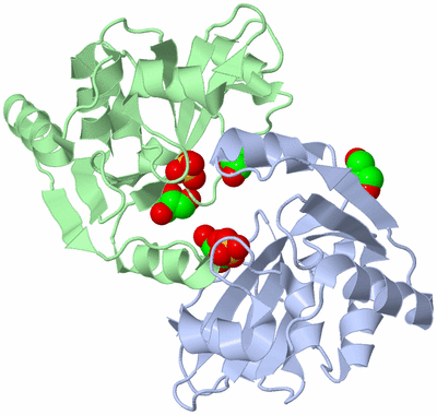 Image Asym./Biol. Unit