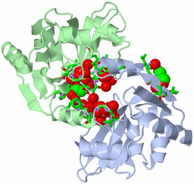 Image Asym./Biol. Unit - sites