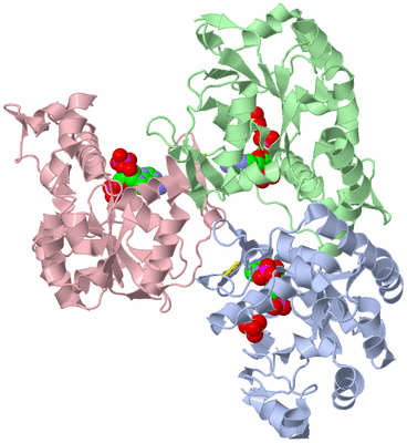 Image Asym./Biol. Unit