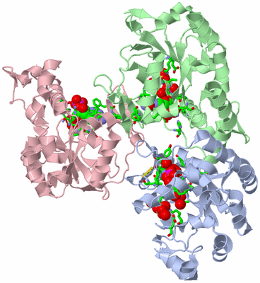 Image Asym./Biol. Unit - sites