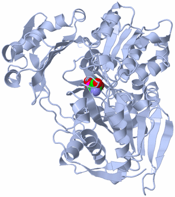 Image Biological Unit 1