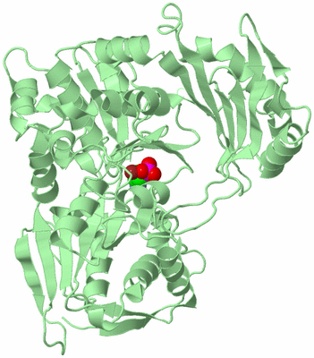 Image Biological Unit 2