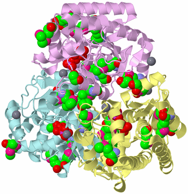 Image Biological Unit 2