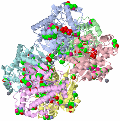 Image Biological Unit 3