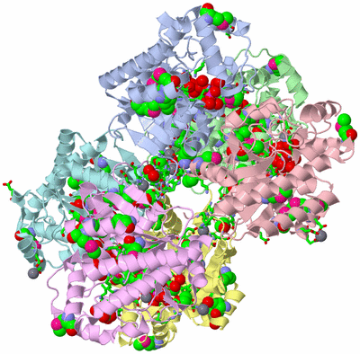 Image Asym. Unit - sites