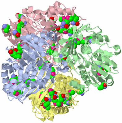 Image Asym./Biol. Unit