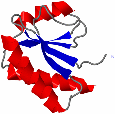 Image NMR Structure - model 1