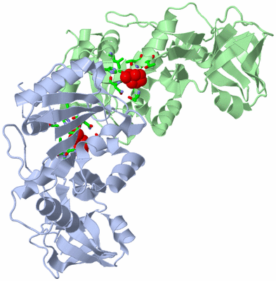 Image Asym./Biol. Unit - sites
