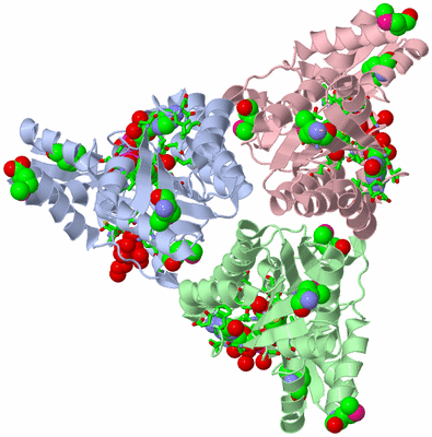 Image Asym./Biol. Unit - sites