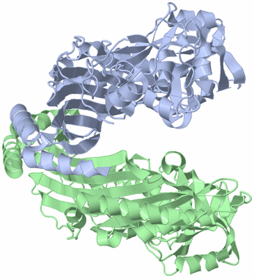 Image Asym./Biol. Unit
