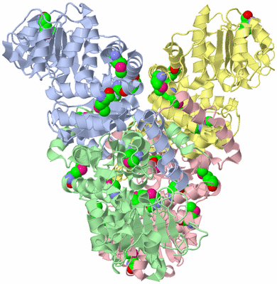 Image Asym./Biol. Unit