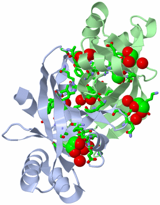 Image Asym./Biol. Unit - sites