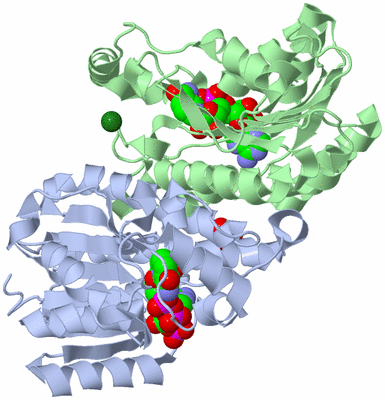 Image Biological Unit 1