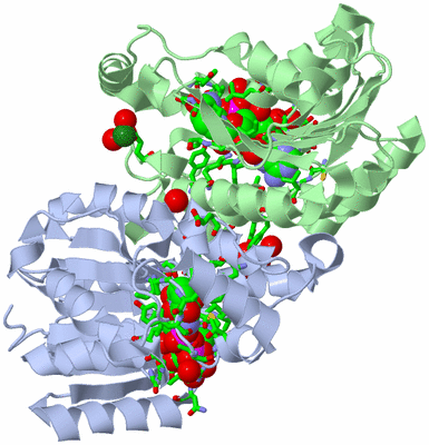 Image Biol. Unit 1 - sites