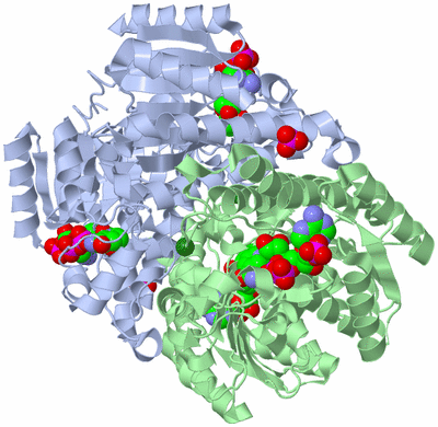 Image Biological Unit 2