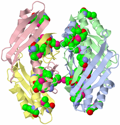 Image Biological Unit 3