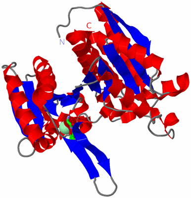 Image Asym. Unit - sites