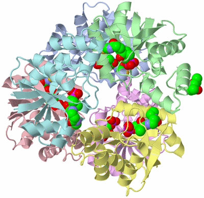 Image Asym./Biol. Unit