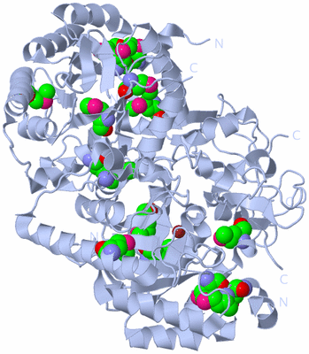 Image Biological Unit 2