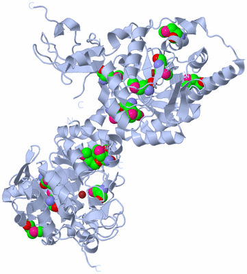 Image Biological Unit 3