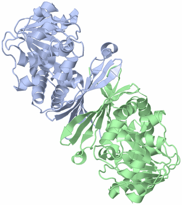 Image Asym./Biol. Unit