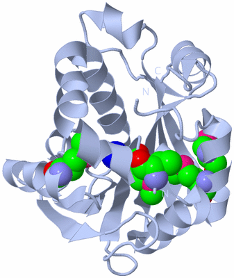 Image Biological Unit 1