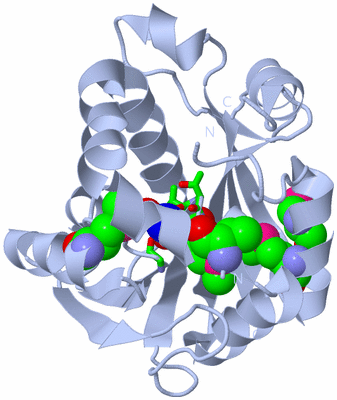 Image Biol. Unit 1 - sites