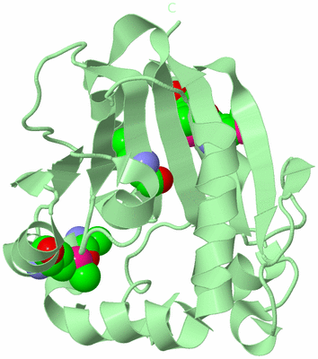 Image Biological Unit 2