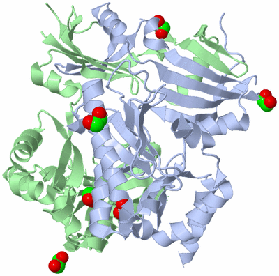 Image Asym./Biol. Unit