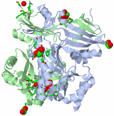 Image Asym./Biol. Unit - sites