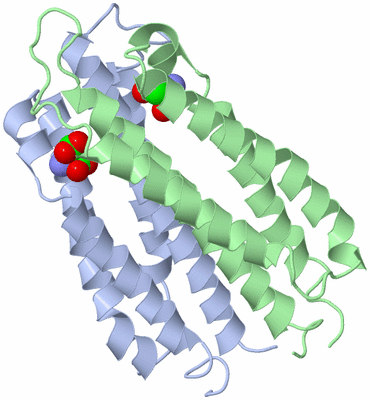 Image Asym./Biol. Unit