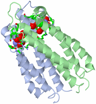 Image Asym./Biol. Unit - sites