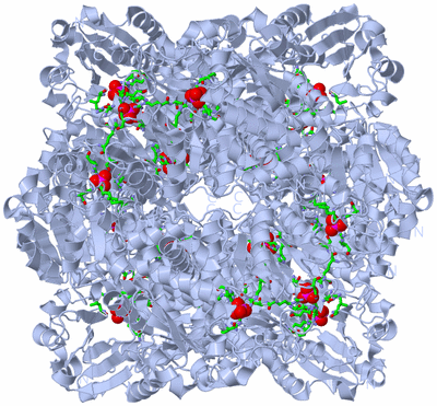 Image Biol. Unit 1 - sites