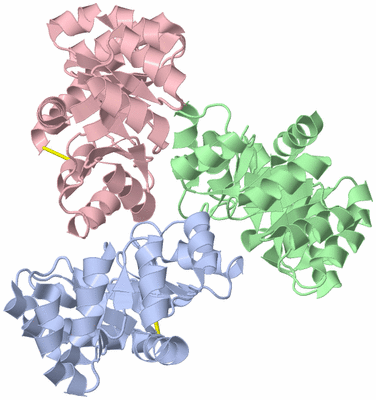 Image Biological Unit 4