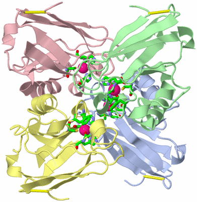 Image Asym./Biol. Unit - sites