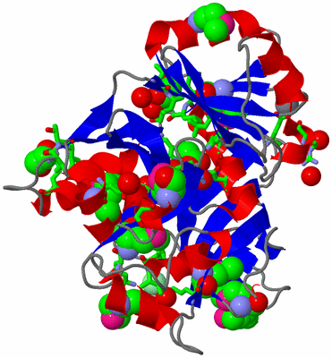 Image Asym./Biol. Unit - sites