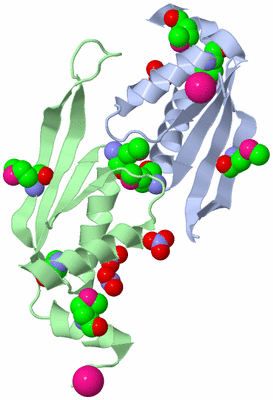 Image Asymmetric Unit
