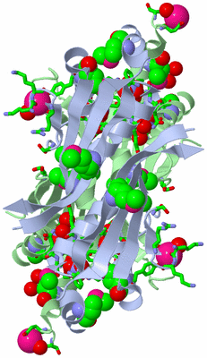 Image Biol. Unit 1 - sites