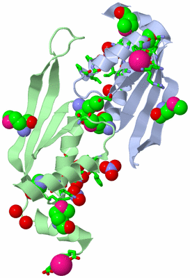 Image Asym. Unit - sites