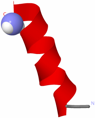 Image NMR Structure - model 1