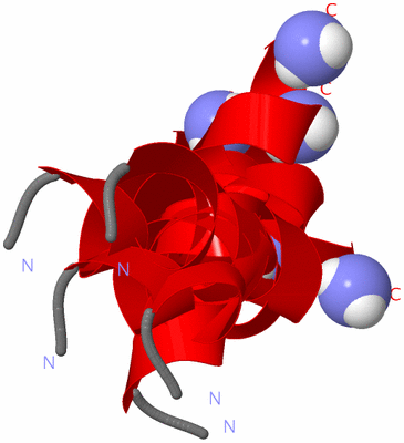 Image NMR Structure - all models