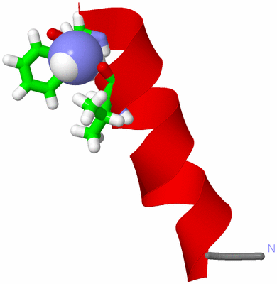 Image NMR Structure - model 1, sites