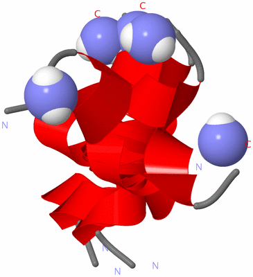 Image NMR Structure - all models