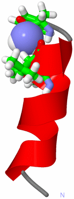 Image NMR Structure - model 1, sites